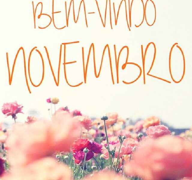 Seja bem vindo novembro, mês 11