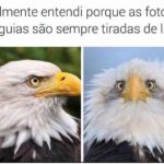Divirta-se como preferir