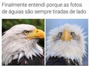 Divirta-se como preferir