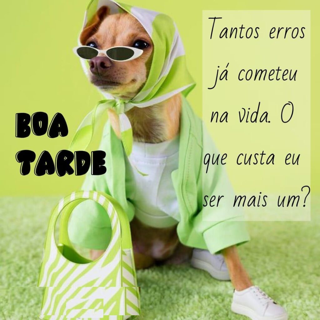 Humor da tarde