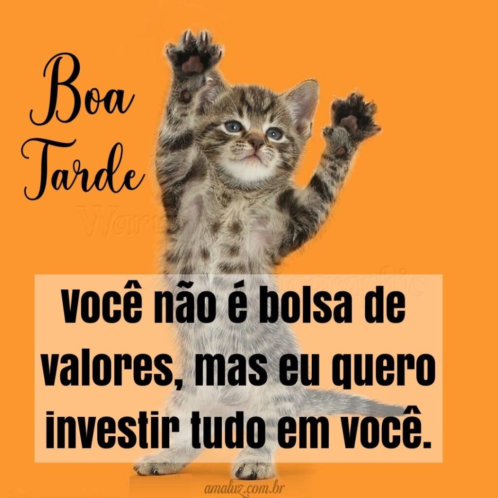 Humor da tarde