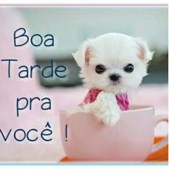 Humor da tarde
