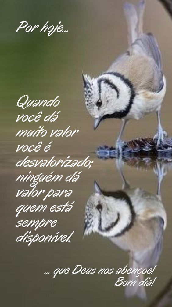 Não saber não é errado