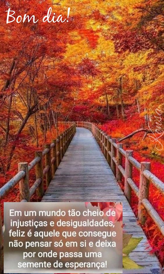 Para semear sementes de esperança