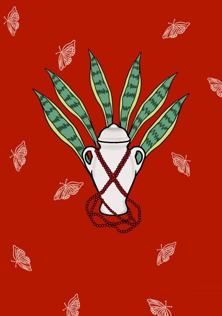 Planta Espada de São Jorge #descubra