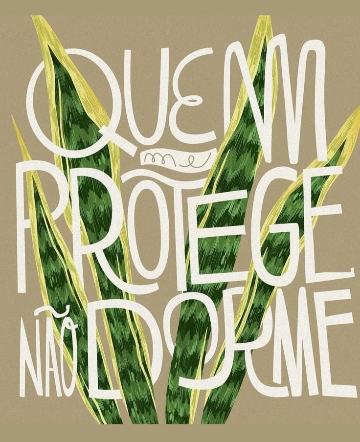 Planta Espada de São Jorge #descubra