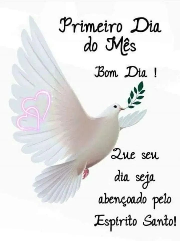 Seja bem vindo novo mês