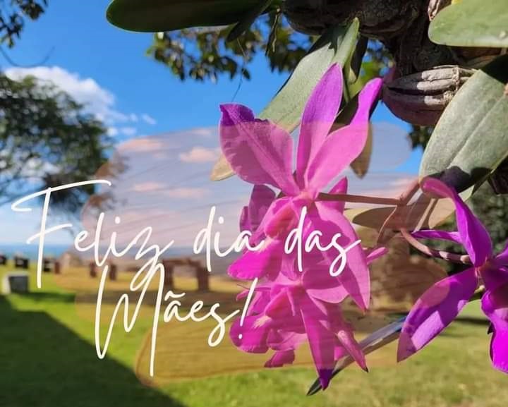 Feliz Dia das Mães Sempre