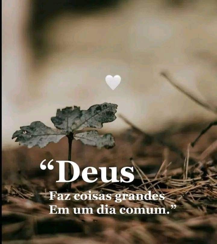 Conheça o Blog Pastor da Web