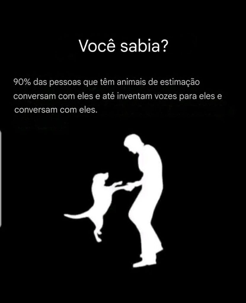 Homenagem a todos os cachorrinhos que já partiram