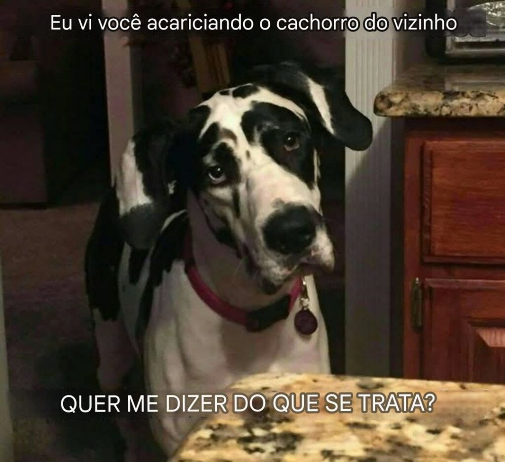 Homenagem a todos os cachorrinhos que já partiram