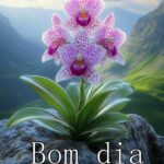 Bom dia com Orquídeas
