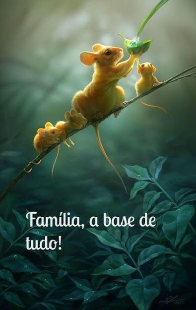 'familia, a base de tudo'