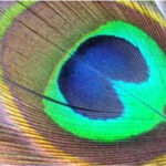 Prospera otimismo #insta