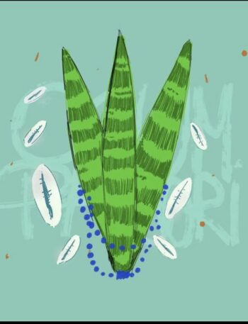 Planta Espada de São Jorge #descubra