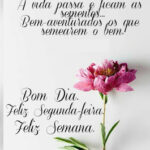 Boa semana para semear o bem