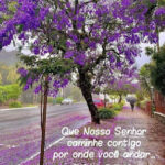 Que o Nosso Senhor caminhe contigo