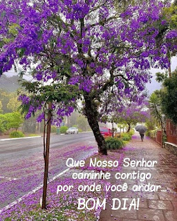 Que o Nosso Senhor caminhe contigo