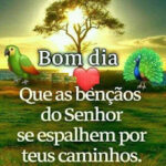 Bom dia! Que as bênçãos do Senhor se espalhem por teus caminhos