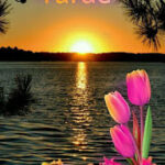 Boa tarde com flores