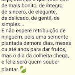 Ofereça sempre o seu melhor